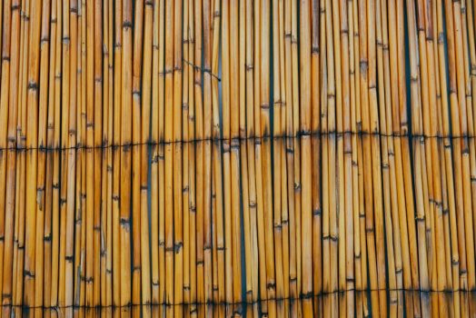 Pałka wodna na ścianie – panele z typhy, które chłodzą, wyciszają i ocieplają klimat wnętrza