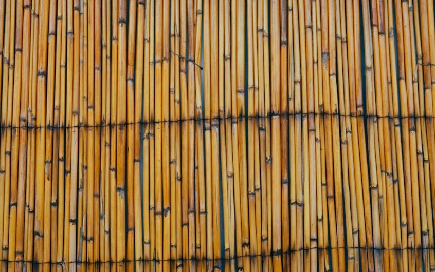 Pałka wodna na ścianie – panele z typhy, które chłodzą, wyciszają i ocieplają klimat wnętrza